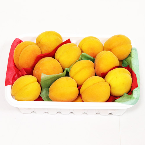 Apricot