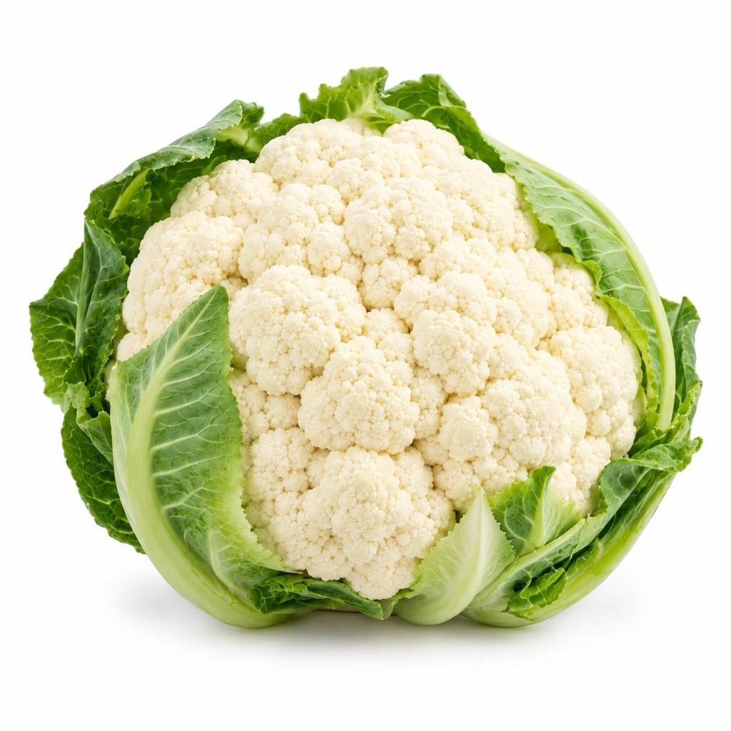زهرة