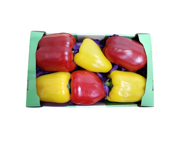 Mix Capsicum
