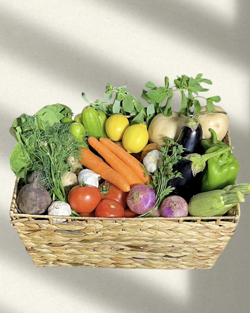Vegetables Collection