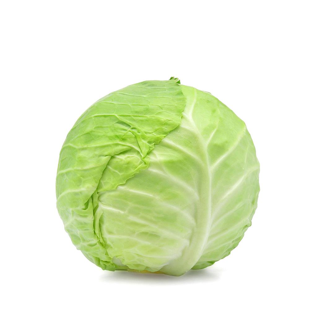 Cabbage White