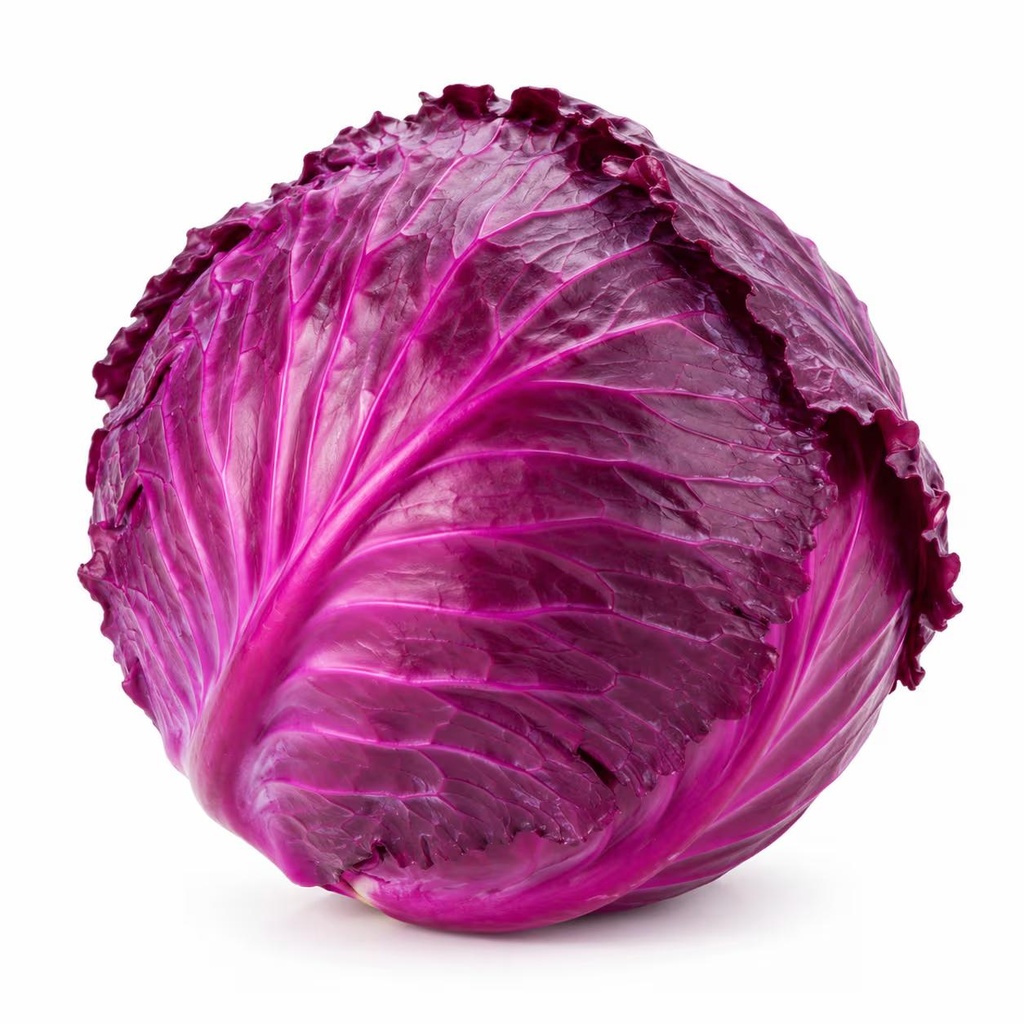 Cabbage Red