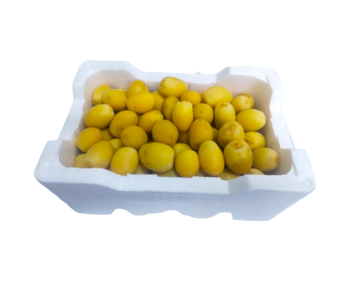 رطب برحي 