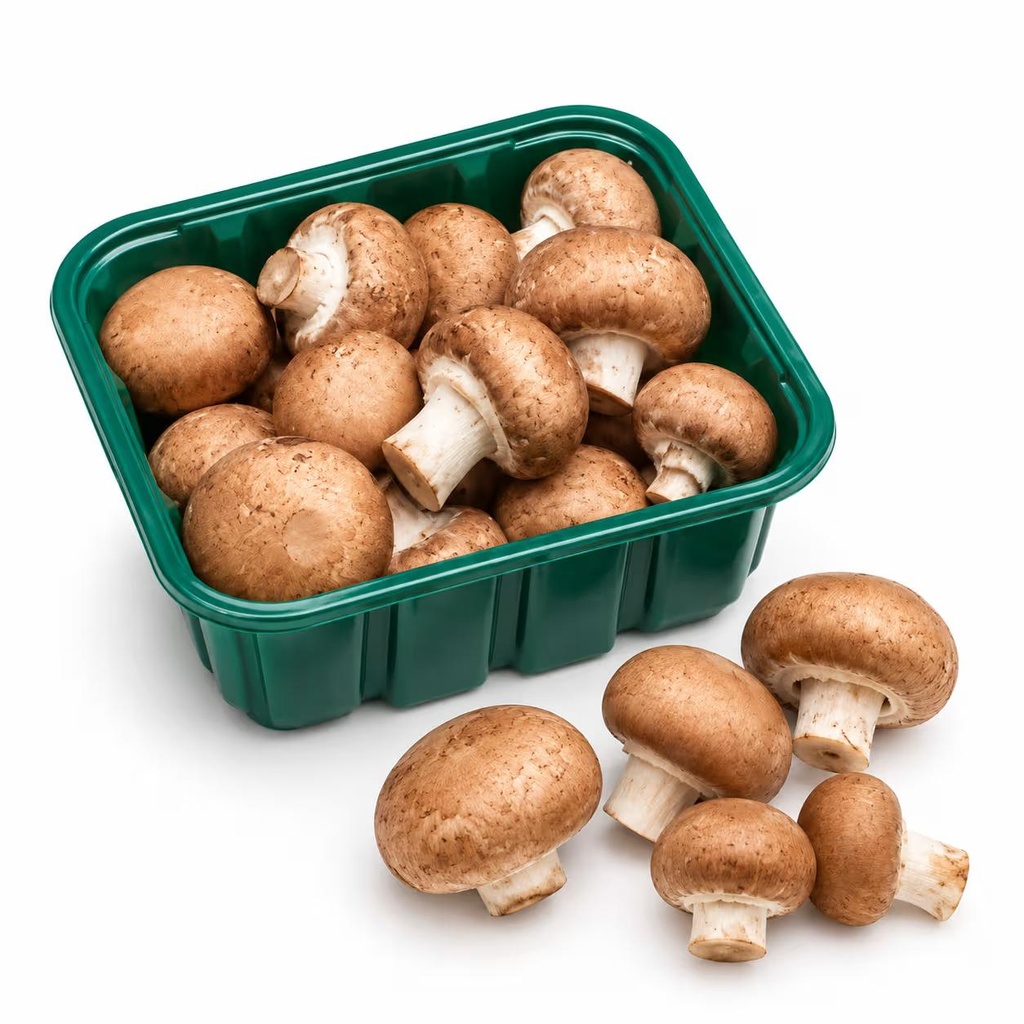 Brown Mushroom