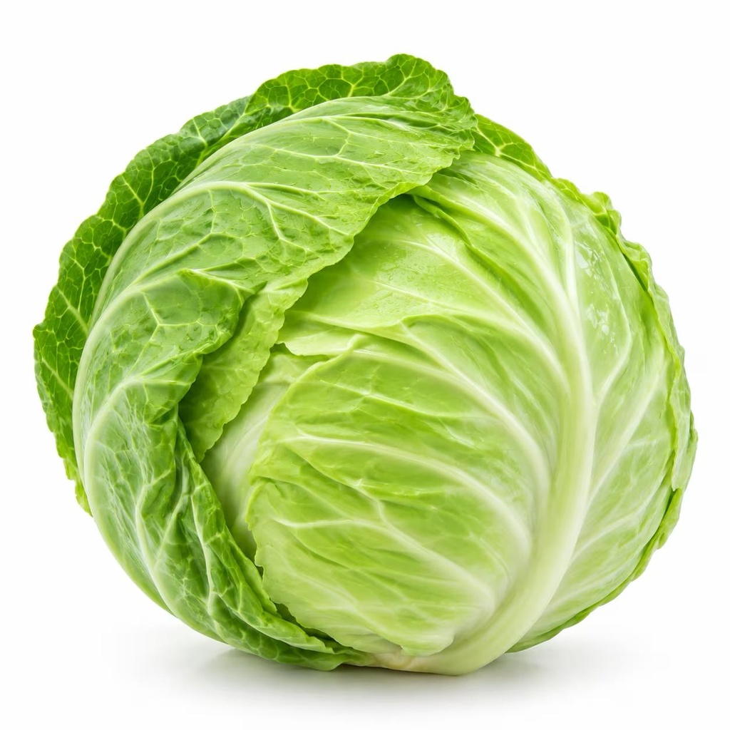 Cabbage White