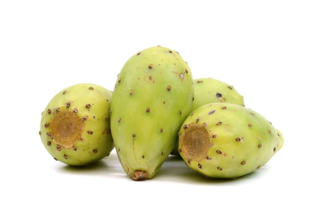 Barbary Fig