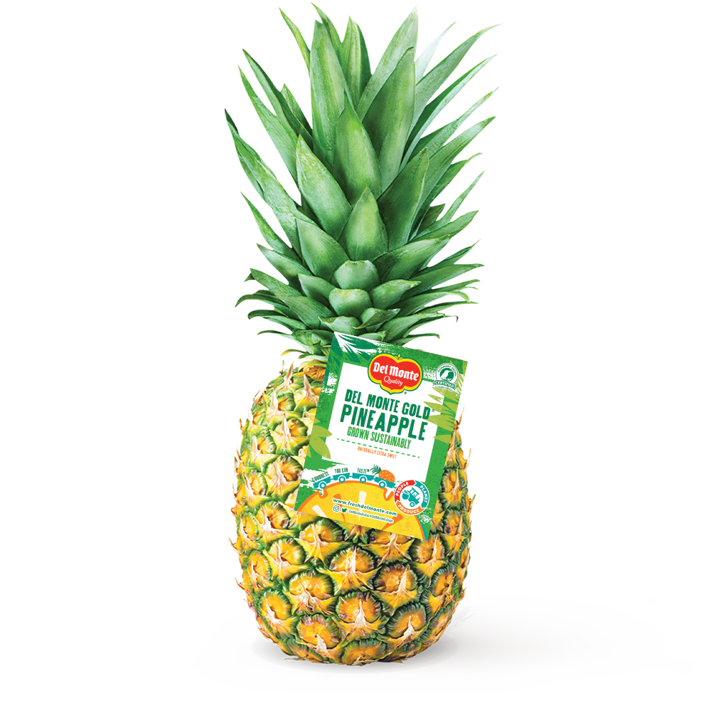 Golden Pineapple Jumbo