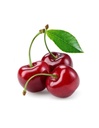 Cherry [Syria]