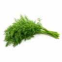 Dill [Kuwait]