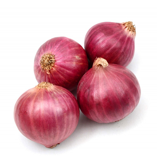 Red Onion [Jordan]