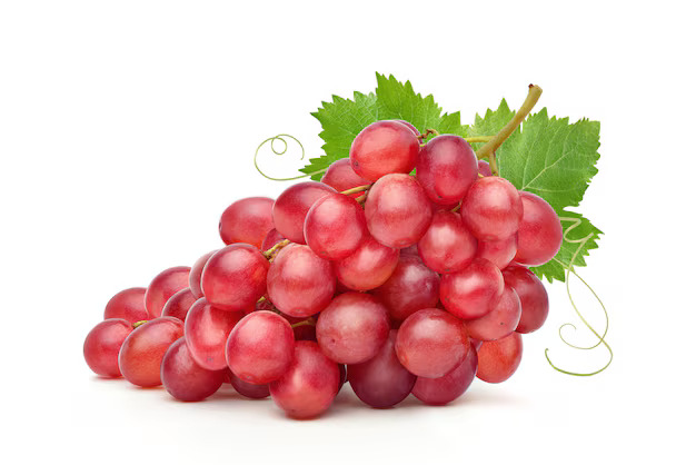 صورة المنتج