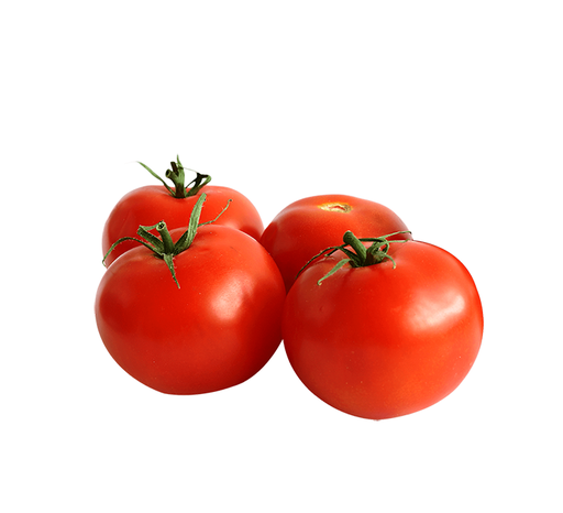 Tomato [Syria]