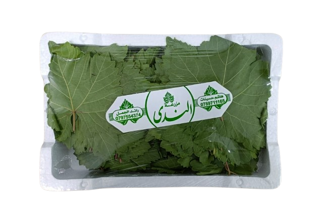 صورة المنتج