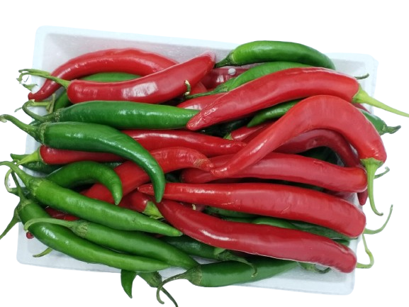صورة المنتج