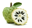 Custard Apple [Thailand]