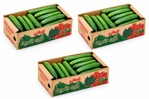 Cucumber 3* 1.700 Kg [Kuwait]