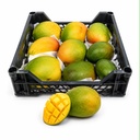 Mango Crimson [Egypt]