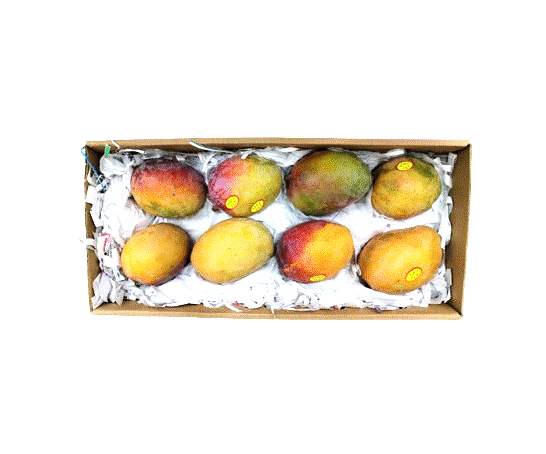 Mango Tomy [Egypt]