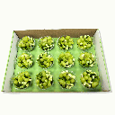 Greening Day Box 